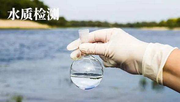 摩登7娱乐官方网站图片