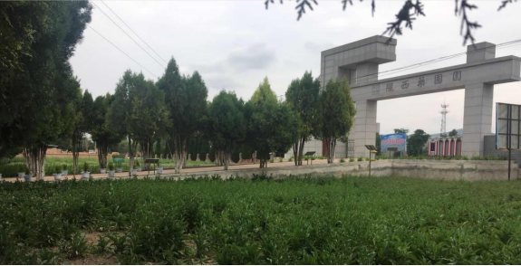 摩登7娱乐官方网站图片